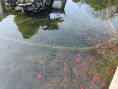 -东山雕花楼