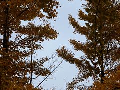 -森林公园(尖草坪区)