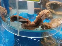 -新海渔港·胶东海鲜家常菜·家宴(奥体中心店)