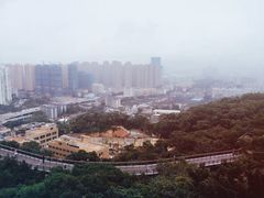 -金鸡山公园