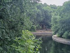 -黑龙江省森林植物园