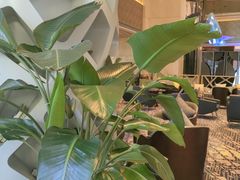 -深圳彭年万丽酒店
