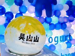 -吴山山·椰子酸奶(天河南店)