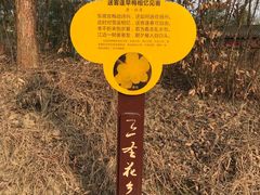 -三圣花乡旅游区