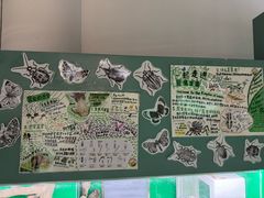 -上海大自然野生昆虫馆(东方明珠·爬宠昆虫探索中心)