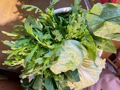 蔬菜拼盘-鸿运楼老北京铜锅涮肉  烤串(木樨园店)