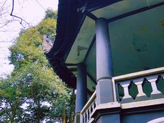 -南山植物园