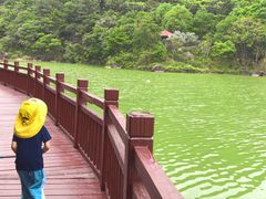 -广州白江湖森林公园