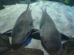 -常州海昌海洋探索馆