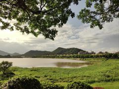 -风云岭森林公园