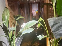 -邈墨茶馆(凤起路店)