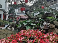 -聚福宝合苑食府(南头镇店)