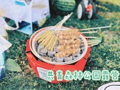 -上海共青森林公园