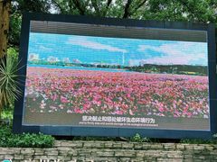 -海珠湖公园