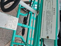 -日照海滨国家森林公园