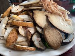 野生菌拼盘-野菌皇海景野生菌火锅(滨海大道店)
