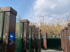 -宁波杭州湾国家湿地公园