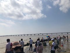 -南汇新城海滩