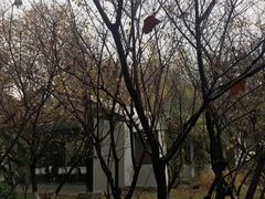 -USTC1958东区·by UNILAB