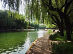 -团结湖公园