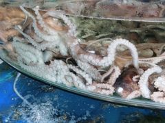 -蓝珊甄选海鲜自助·火锅大排档(近阿那亚店)