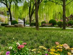 -唐城墙遗址公园