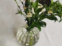 -夏朵花园(复兴西路店)