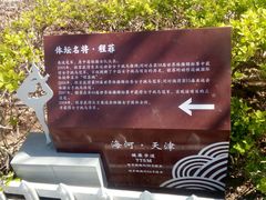 -世纪钟