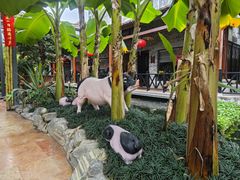 -猪肉婆私房菜(容桂总店)