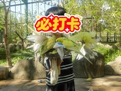-北戴河集发农业梦想王国