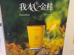 -爷爷不泡茶 NOYEYENOTEA(长沙五江天街店)