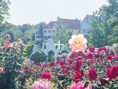 -大塘金香草谷