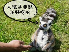 -宁波野生动物园
