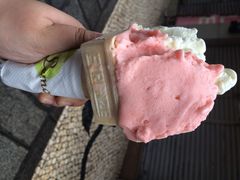 双球-柠檬车露(卖草地店)