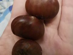 -粒上皇(奥克斯广场店)