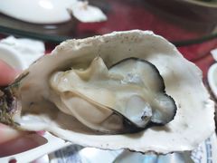 -舒味姜母鸭·沙茶面(湖里店)