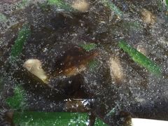 海蛎汤-求生煎包(武夷小区店)