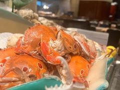-怡聚轩全日制自助餐厅(大中华喜来登酒店)