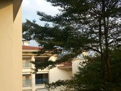-鹤山碧桂园凤凰酒店