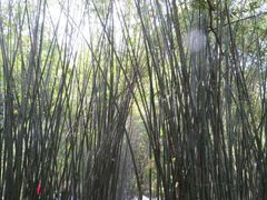 -英西峰林·洞天仙境