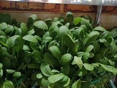 -好口福私房菜(太元路店)