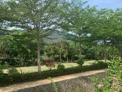 -亚龙湾国际玫瑰谷