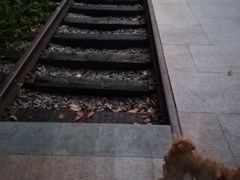 -广九铁路纪念园