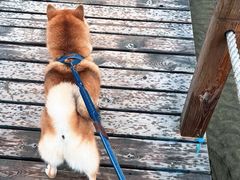 -东海半边山旅游度假区
