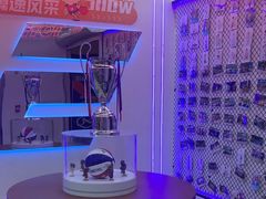 -翼速篮球·儿童体适能·中考体育(鲁能城店)