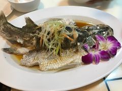 -福满楼中餐厅