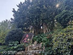 -乌山风景区