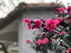 -广州市白云山风景名胜区