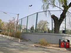 -北京大学-二体网球场