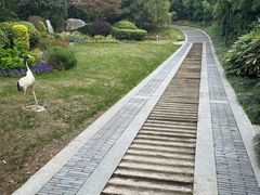 -菊花台公园